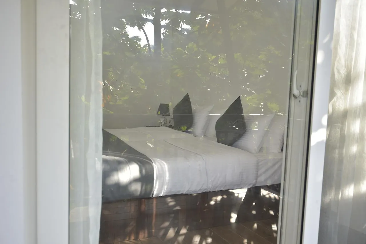 Sattva-The Awakening Garden Hotel Kakkadampoyil India